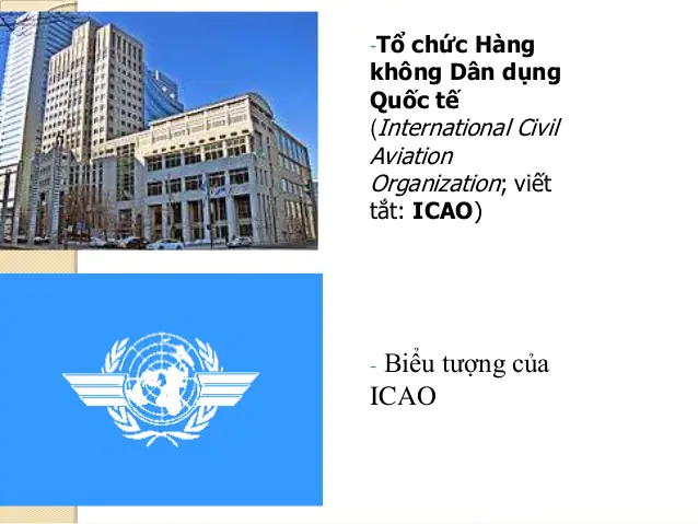 TỔ CHỨC HÀNG KHÔNG DÂN DỤNG QUỐC TẾ (ICAO)