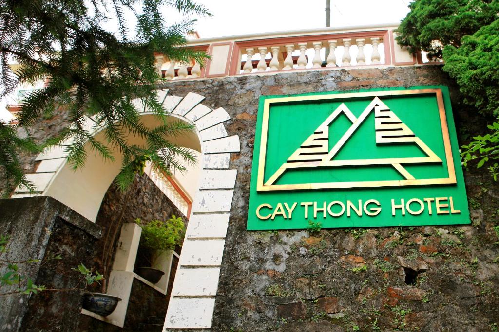 cay-thong-Villa
