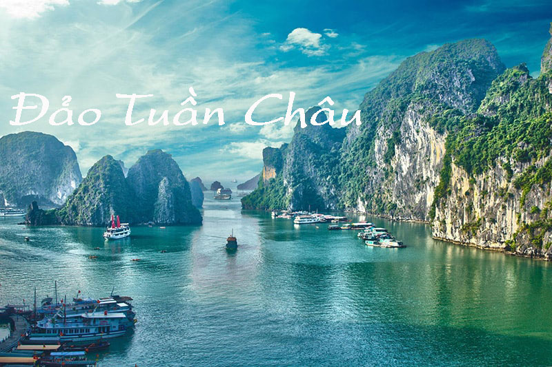 Du Lich Dao Tuan Chau Ha Long